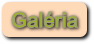 Galéria